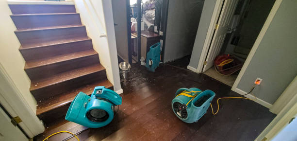 Best 24/7 water damage repair  in Tarrytown, NY