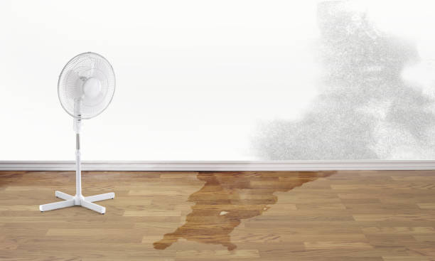 Best Water damage restoration near me  in Tarrytown, NY