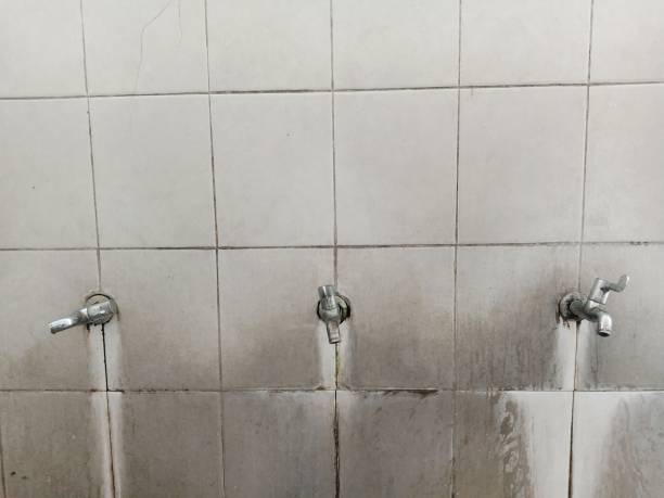 Best Water damage restoration near me  in Tarrytown, NY