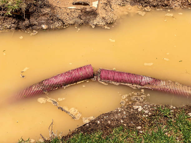 Best Mold removal after water damage  in Tarrytown, NY