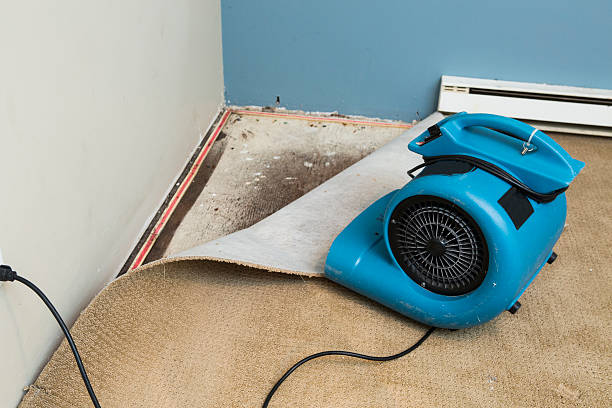 Best Basement water damage restoration  in Tarrytown, NY